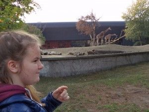 Wycieczka do Wrocławia