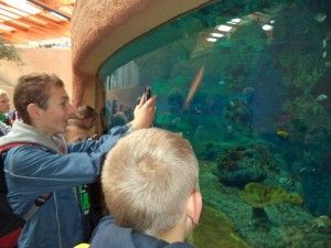 DSC04047 [1600x1200]