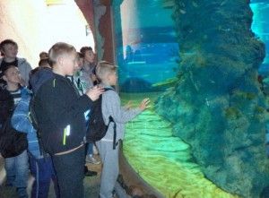 DSC04048 [1600x1200]