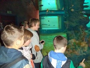 DSC04050 [1600x1200]