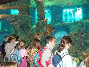 DSC04051 [1600x1200]