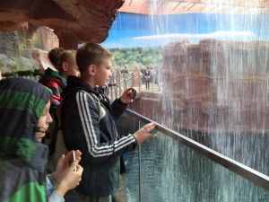 DSC04053 [1600x1200]