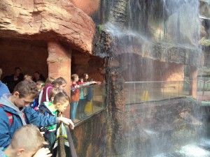 DSC04055 [1600x1200]