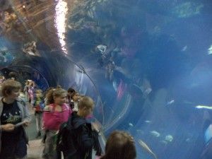 DSC04057 [1600x1200]