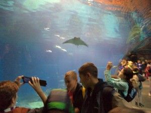 DSC04058 [1600x1200]