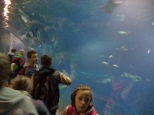 DSC04060 [1600x1200]