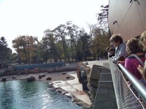 DSC04068 [1600x1200]