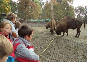 DSC04082 [1600x1200]