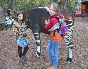 DSC04085 [1600x1200]