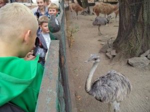 DSC04086 [1600x1200]