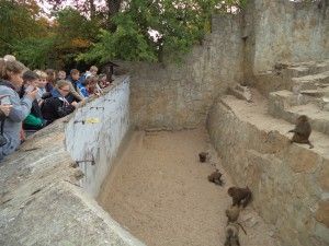 DSC04088 [1600x1200]