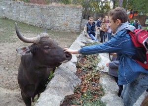 DSC04095 [1600x1200]