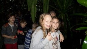 SAMSUNG CAMERA PICTURES