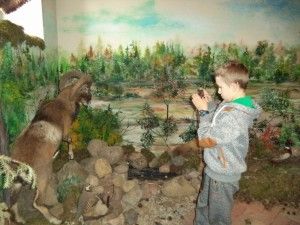 DSC05359 [1600x1200]