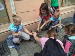 DSC05724 [1600x1200]