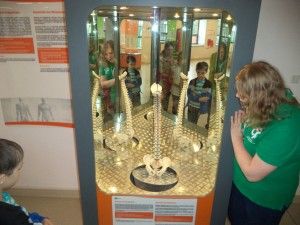 DSC06073 [1600x1200]