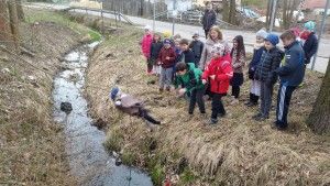 20170321_094156 (Kopiowanie)