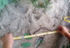 20170919_151312 (Kopiowanie)