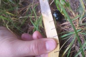20170919_151511 (Kopiowanie)