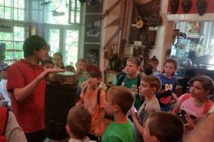 Poznań-Kórnik-Rogalin-Puszczykowo