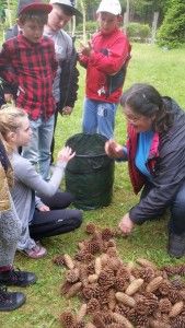 20170520_110019 (Kopiowanie)