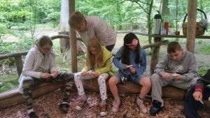 20170520_114835 (Kopiowanie)