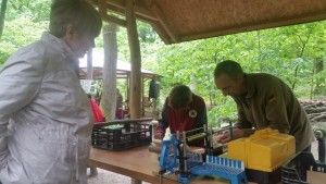 20170520_121924 (Kopiowanie)