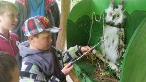 20170520_123413 (Kopiowanie)