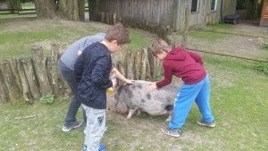 20170520_140622 (Kopiowanie)