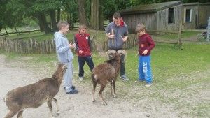 20170520_140656 (Kopiowanie)