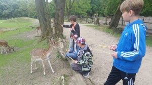 20170520_141035 (Kopiowanie)