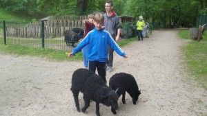 20170520_143641 (Kopiowanie)