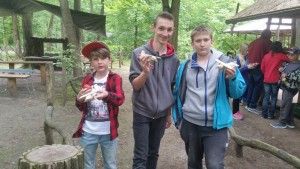 20170520_152304 (Kopiowanie)