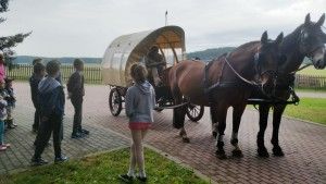 20170605_095659 (Kopiowanie)