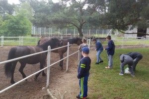 20170605_105643 (Kopiowanie)