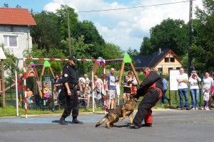 20170610_153320 (Kopiowanie)