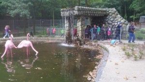 20170923_115336 (Kopiowanie)