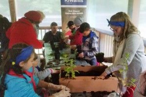 20170923_133436 (Kopiowanie)