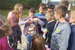 20171002_113656 (Kopiowanie)