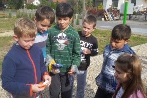 20171002_114330 (Kopiowanie)