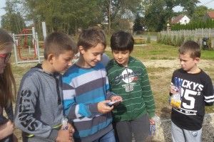 20171002_114435 (Kopiowanie)