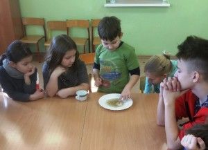 20180216_111850 (Kopiowanie)