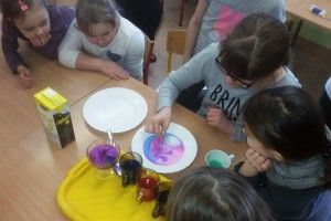 20180216_114923 (Kopiowanie)