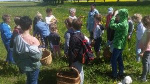 05 20180505_115439 (Kopiowanie)