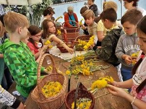 05 31531597_2048990188689238_6308677959863500800_n (Kopiowanie)