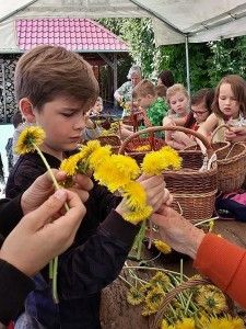 05 31947120_2048990558689201_1354563214062387200_n (Kopiowanie)