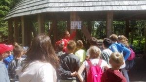 20180514_124303 (Kopiowanie)