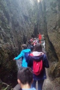 20180514_150741 (Kopiowanie)