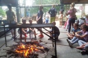 20180605_094838 (Kopiowanie)