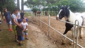 20180605_100208 (Kopiowanie)